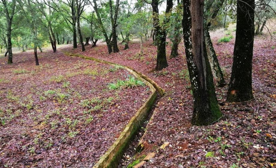 Finca La Liserilla Galaroza Eksteriør billede